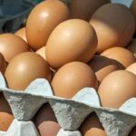 Владата утре ќе ги замрзне цените на јајцата и оризот